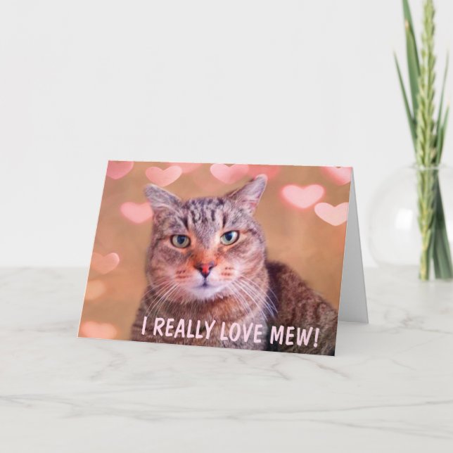 Cartes Pour Fêtes Annuelles Chat romantique Saint-Valentin (Devant)