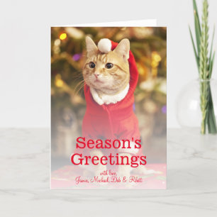 Cartes Pour Fêtes Annuelles Chat rouge masculin portant un costume père Noël