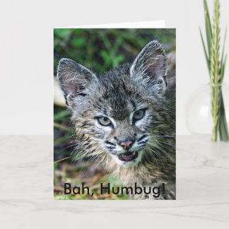 Cartes Pour Fêtes Annuelles Chat sauvage, Bah, fumiste !