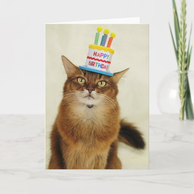 Cartes Pour Fêtes Annuelles Chat somalien Casquette (Devant)