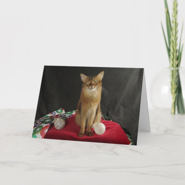 Cartes Pour Fêtes Annuelles Chat somalien de vacances, comportant la samba (Devant)