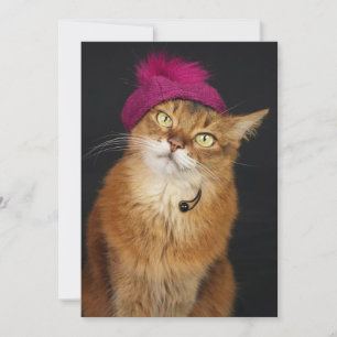 Cartes Pour Fêtes Annuelles Chat somalien portant un Beret de framboise