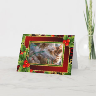 Cartes Pour Fêtes Annuelles Chat sur Noël - arrière - plan de vacances