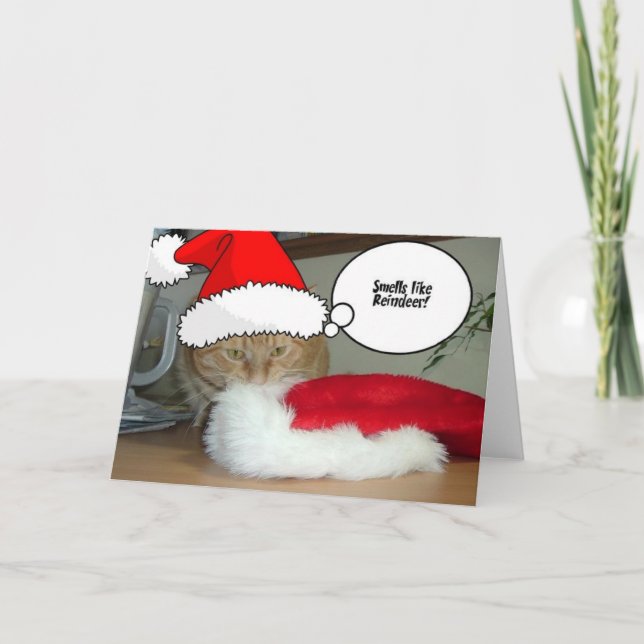 Cartes Pour Fêtes Annuelles Chat Tabby Orange de Noël (Devant)