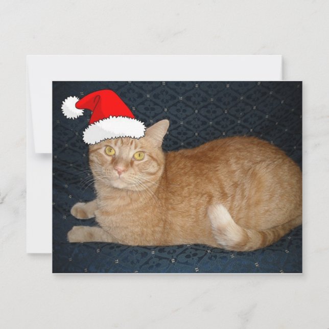 Cartes Pour Fêtes Annuelles Chat Tabby Orange de Noël (Devant)