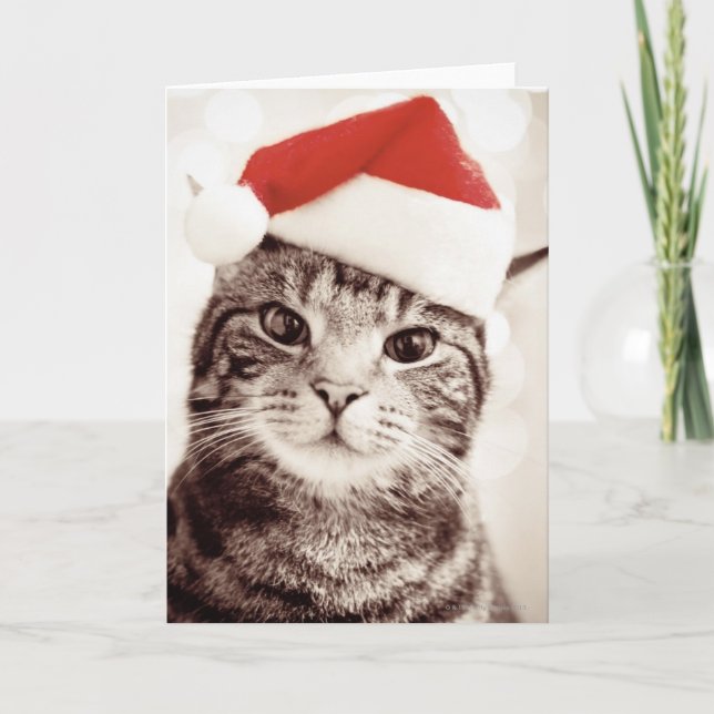 Cartes Pour Fêtes Annuelles Chat tigré domestique utilisant le casquette rouge (Devant)