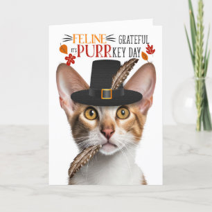 Cartes Pour Fêtes Annuelles Chat Tricolor Oriental Grateful pour PURRkey Day