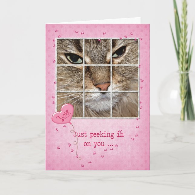 Cartes Pour Fêtes Annuelles Chat Valentine dans la fenêtre (Devant)