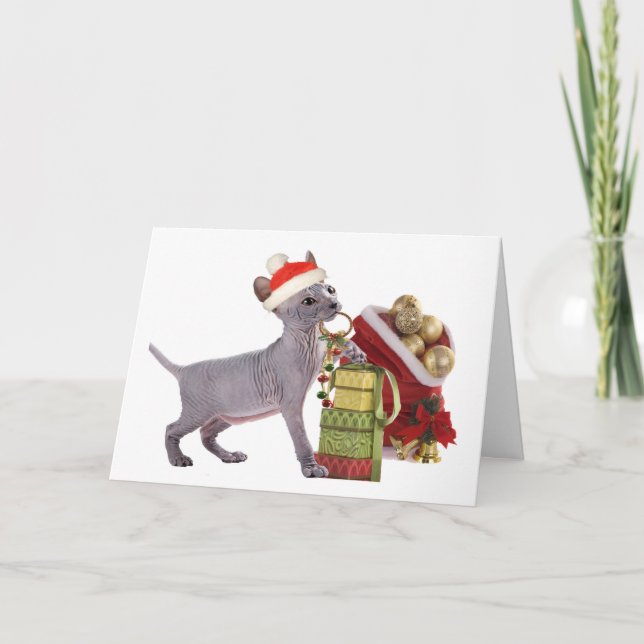 Cartes Pour Fêtes Annuelles Chaton ChristmasCards de Sphynx (Devant)