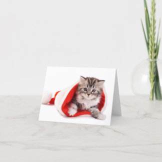 Cartes Pour Fêtes Annuelles Chaton dans un casquette de Père Noël