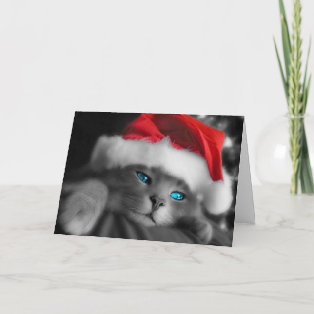 Cartes Pour Fêtes Annuelles Chaton de Noël (Devant)