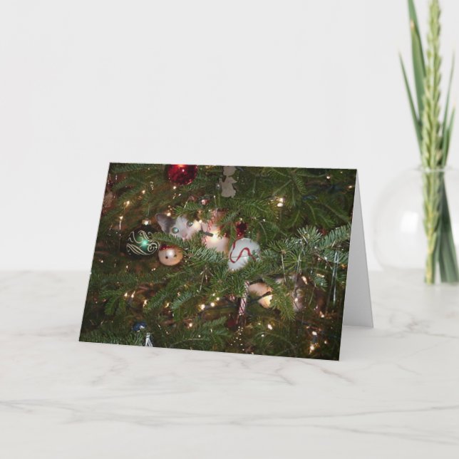 Cartes Pour Fêtes Annuelles Chaton de Noël (Devant)