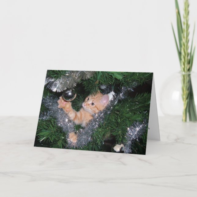 Cartes Pour Fêtes Annuelles chaton de Noël - Customisé (Devant)