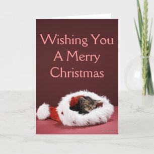 Cartes Pour Fêtes Annuelles Chaton endormi dans le casquette de Noël