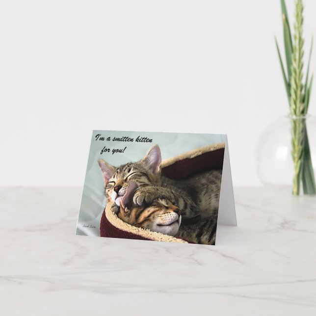 Cartes Pour Fêtes Annuelles Chaton frappé pour vous (Devant)