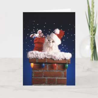 Cartes Pour Fêtes Annuelles Chaton mignon avec le casquette de Père Noël