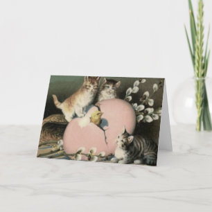 Cartes Pour Fêtes Annuelles Chaton Pâques Poussin Œuf Coloré Peint