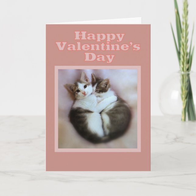 Cartes Pour Fêtes Annuelles Chatons dans la heureuse Sainte-Valentin d'amour (Devant)