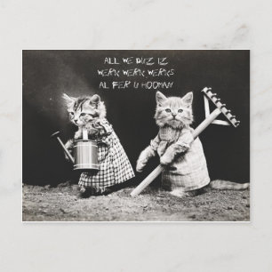 Cartes Pour Fêtes Annuelles Chatons de travail
