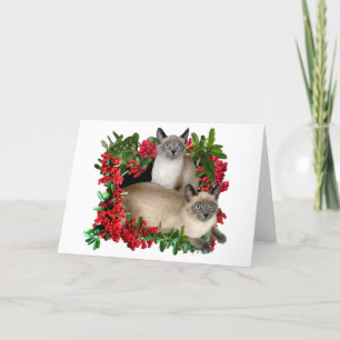 Cartes Pour Fêtes Annuelles Chatons siamois dans le cadre de baie