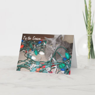 Cartes Pour Fêtes Annuelles chats 034, Lumières Tangled !