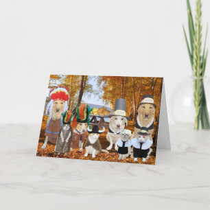 Cartes Pour Fêtes Annuelles Chats/Chiens/Laboratoires amusants comme pèlerins 