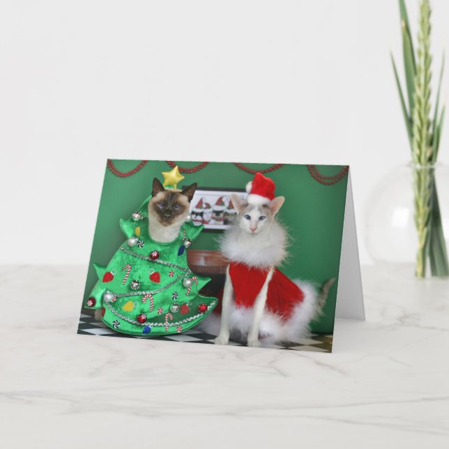 Cartes Pour Fêtes Annuelles Chats de Noël (Devant)