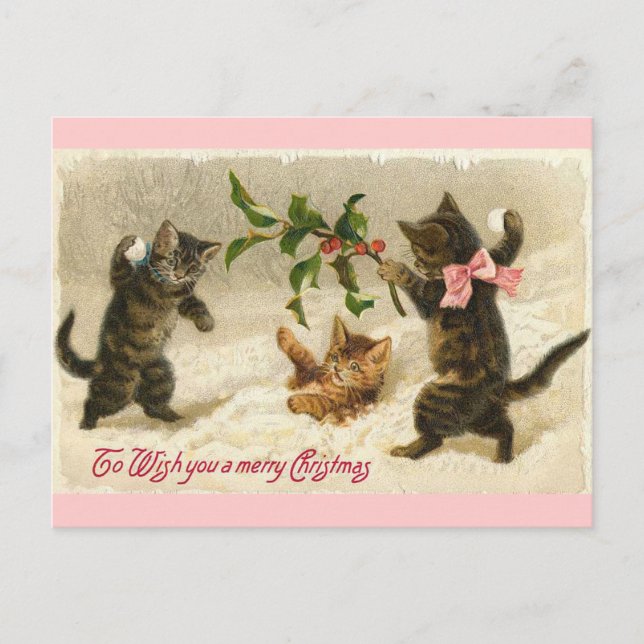 Cartes Pour Fêtes Annuelles Chats de Noël (Devant)