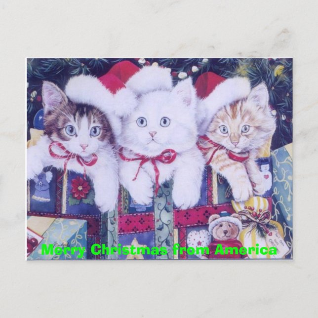 Cartes Pour Fêtes Annuelles Chats de Noël de courrier (Devant)