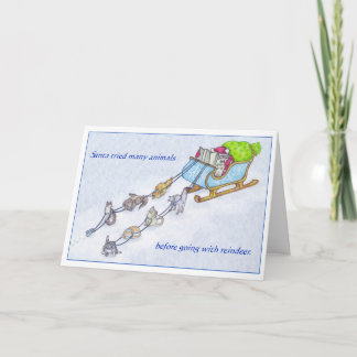 Cartes Pour Fêtes Annuelles Chats de traîneau