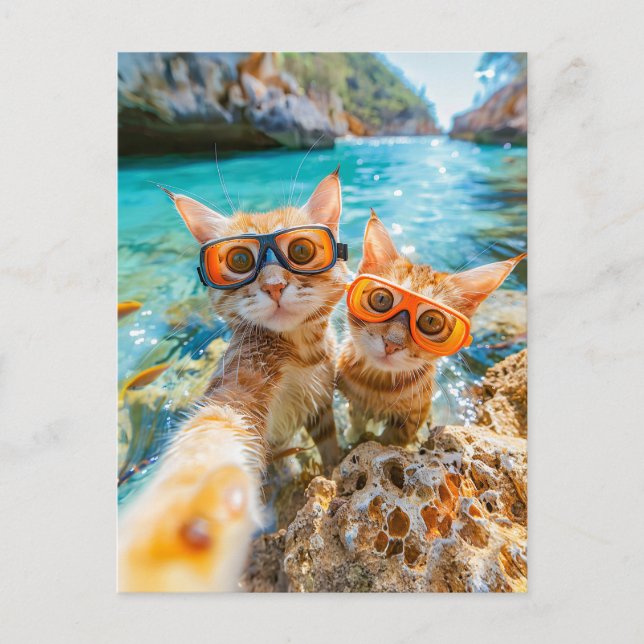 Cartes Pour Fêtes Annuelles Chats en snorkeling dans la mer Méditerranée (Devant)