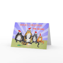 Chats, Joyeux Noël de la bande, humour