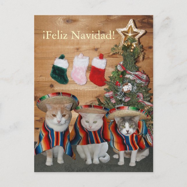 Cartes Pour Fêtes Annuelles Chats/minous drôles Feliz Navidad (Devant)
