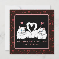 Chats Persans blancs avec coeurs Saint-Valentin 