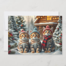 Chats tabby en tenue pré-préparée et chapeau d'hiv
