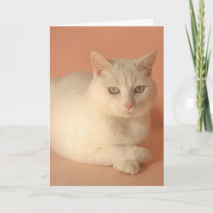 Cartes Pour Fêtes Annuelles Chats Valentine personnalisables