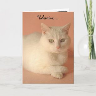 Cartes Pour Fêtes Annuelles Chats Valentine personnalisables