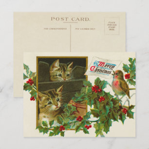 Cartes Pour Fêtes Annuelles Chats vintages de 1911 avec oiseaux Joyeux Noël