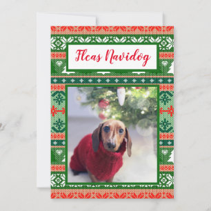 Cartes Pour Fêtes Annuelles Chauffage de Noël moche Fleas Navidog Pet Photo