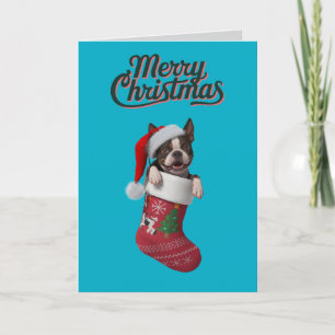 Cartes Pour Fêtes Annuelles Chaussette de Noël de Boston Terrier