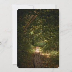 Cartes Pour Fêtes Annuelles Chemin à travers la forêt