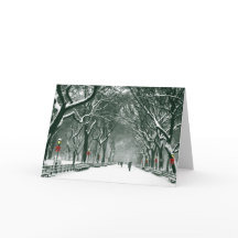 Chemin de neige de Central Park