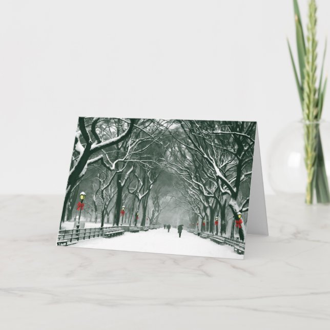 Cartes Pour Fêtes Annuelles Chemin de neige de Central Park (Devant)
