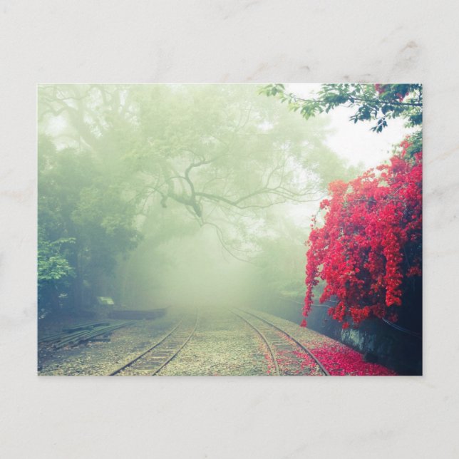 Cartes Pour Fêtes Annuelles Chemins de fer Misty Photo Pittoresque (Devant)