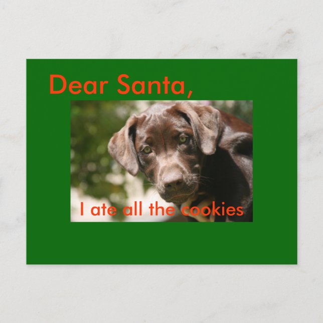 Cartes Pour Fêtes Annuelles Cher Père Noël, j'ai mangé tous les cookies (Devant)