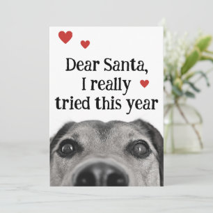 Cartes Pour Fêtes Annuelles Cher Père Noël J'Ai Vraiment Essayé Cette Année