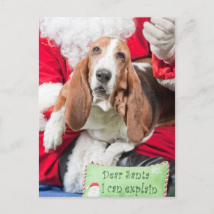 Cartes Pour Fêtes Annuelles Cher Père Noël je peux expliquer Basset Hound