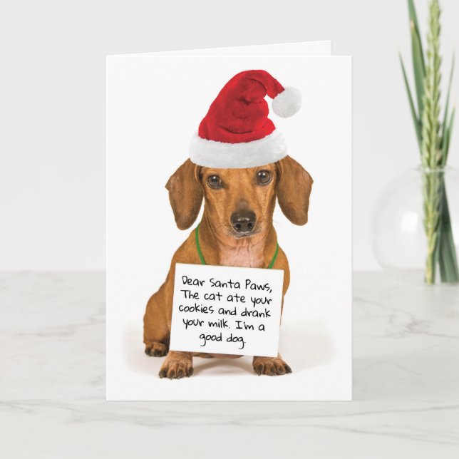 Cartes Pour Fêtes Annuelles Cher Père Noël Paws mignon Dachshund Noël (Devant)