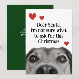 Cartes Pour Fêtes Annuelles Cher Santa Chiot Noël Vert Drôle