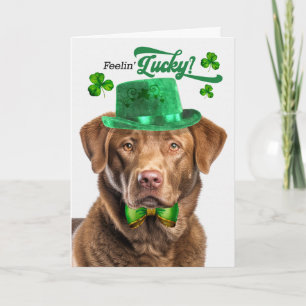 Cartes Pour Fêtes Annuelles Chesapeake Bay Retriever Joyeux St Patrick's Day